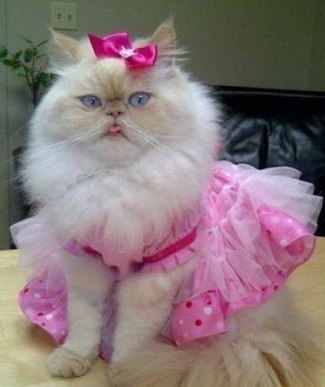 Евгения Усова | Санкт-Петербург