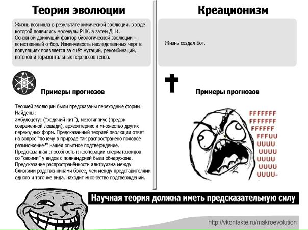 №153, Лина Зыбина, 31 год, Киев №153, Лина Зыбина, 31 год, Киев