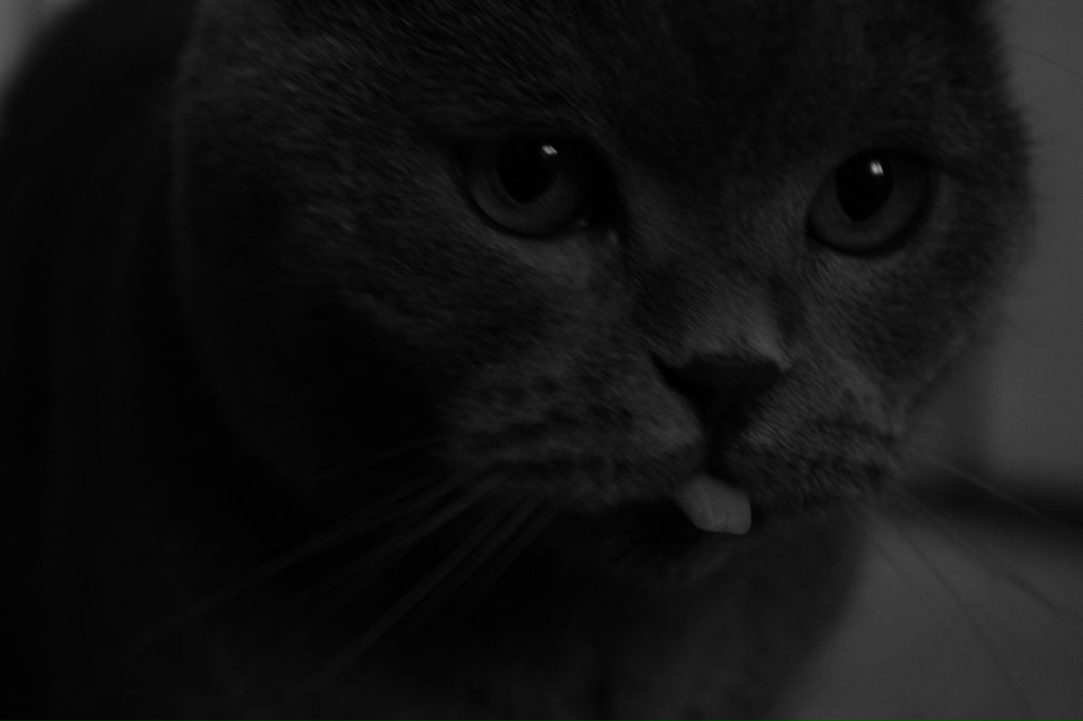 Лилия Александровна | Донецк