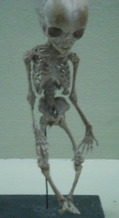 №83, Андрей Любченко, Сумы №83, Андрей Любченко, Сумы