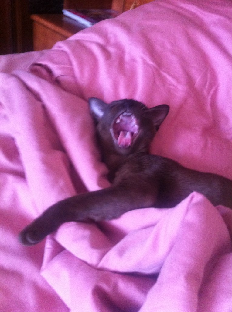 Екатерина Беляева | Москва