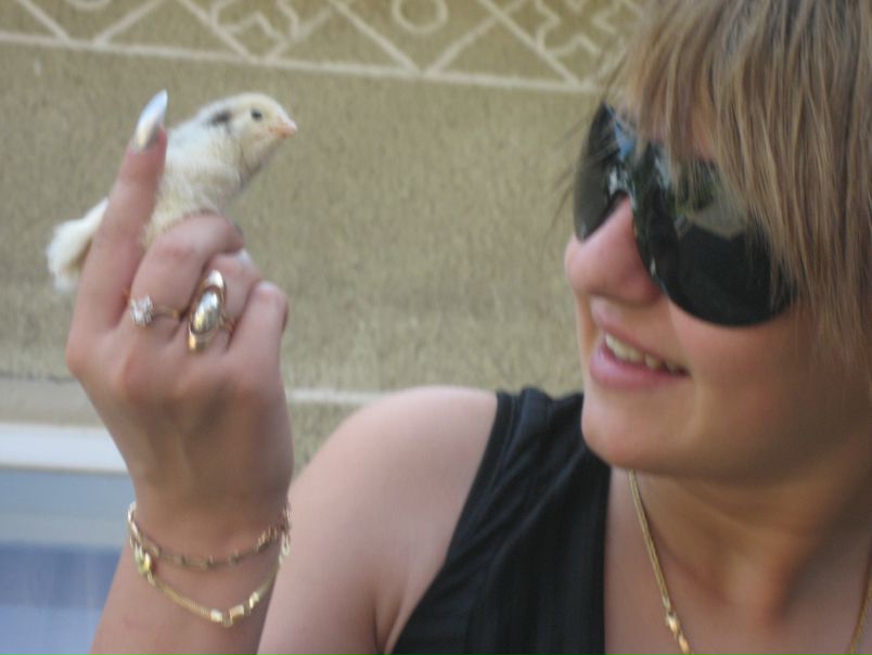 №16, Хриська Гринчишин, Стебник №16, Хриська Гринчишин, Стебник