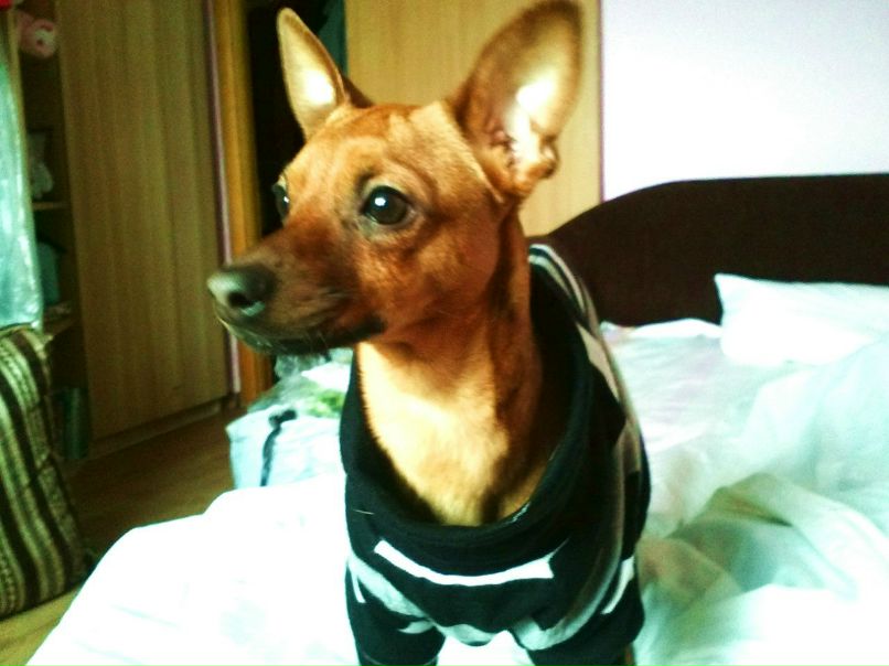 Кристя Соботюк | Киев