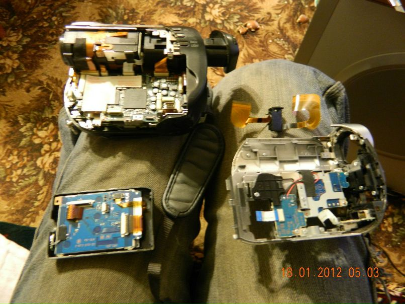 Сергей Скутте | Санкт-Петербург