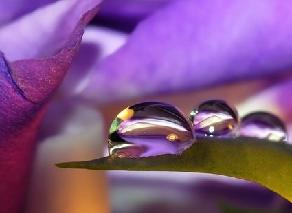 Виктория Васнецова | Москва