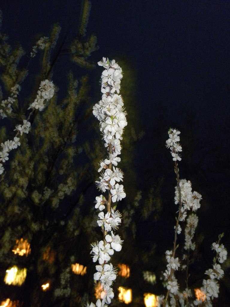 Артур Вовк | Донецк