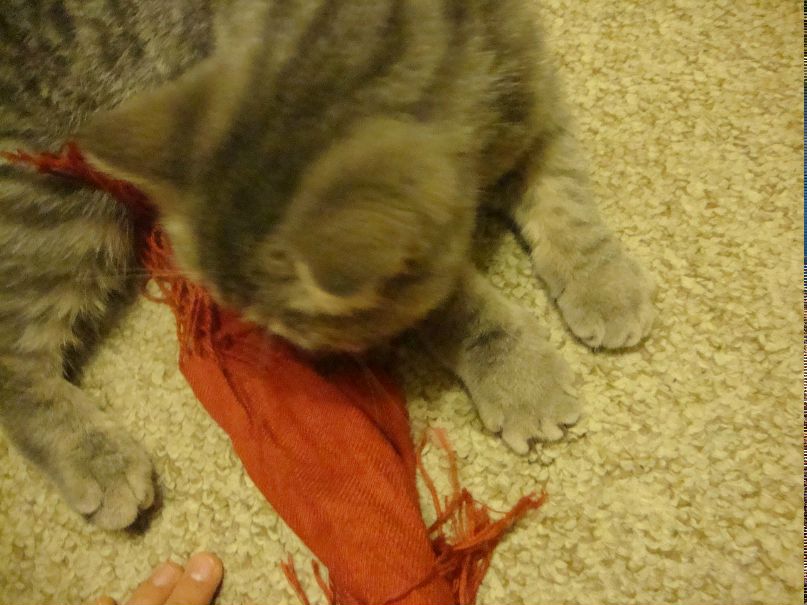 Лена Федотова | Санкт-Петербург