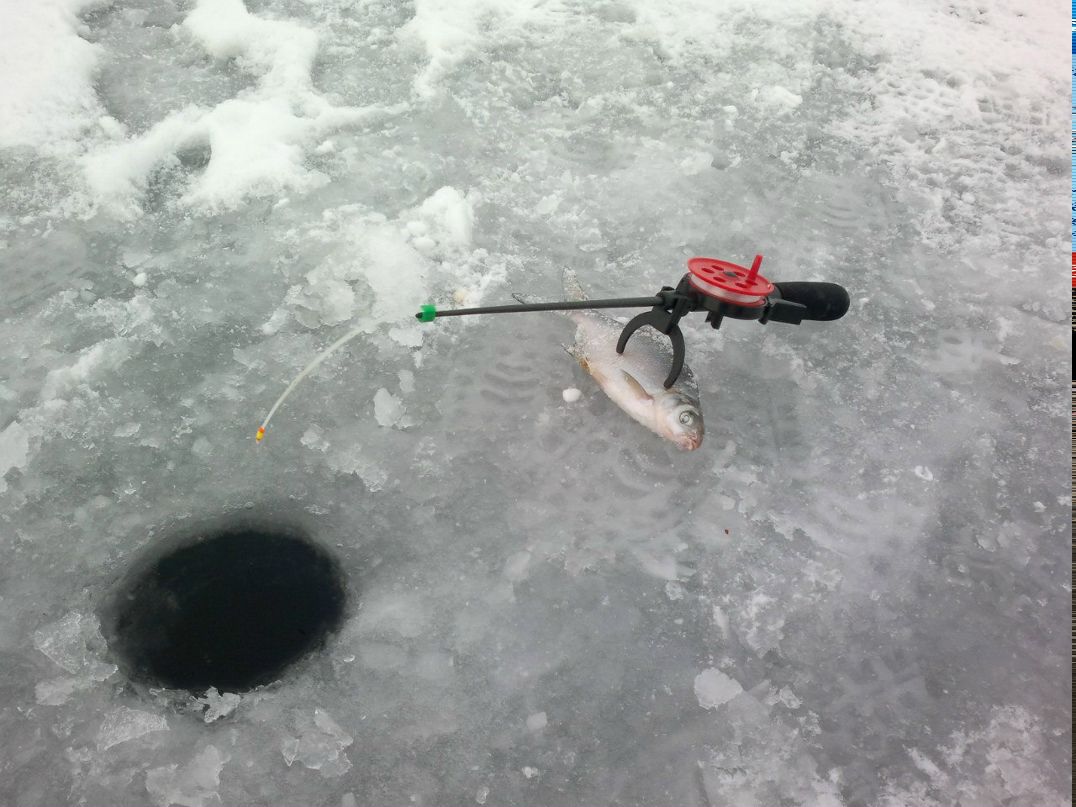 Виктор Макаревский | Витебск