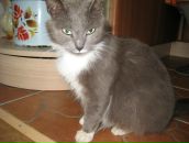 №13 Анастасия Нарышкина 01.01: профиль, фото, статус - ВКонтакте