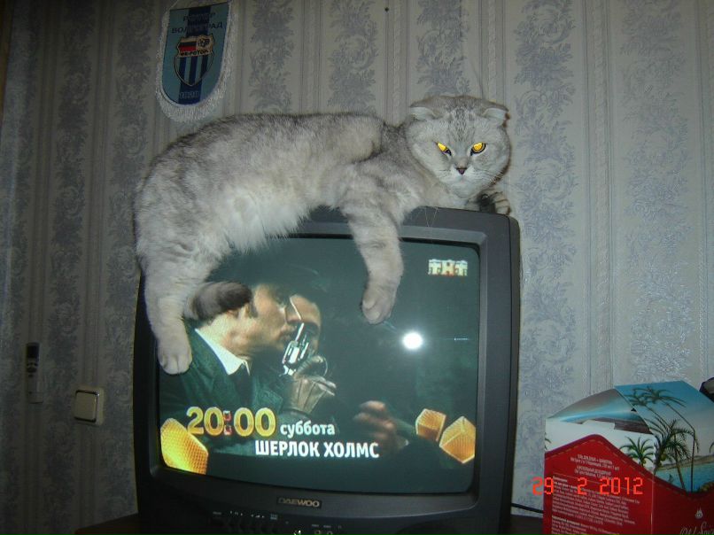 Илья Антифов Ахтубиньё | Волгоград