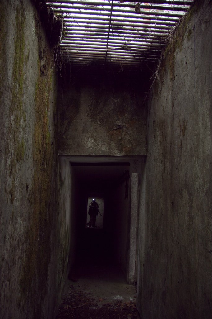 Дмитрий Паппель | Chennai