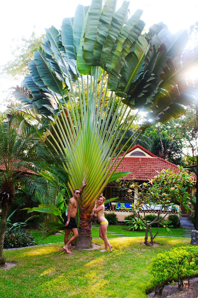 Андрей Морин | Санкт-Петербург