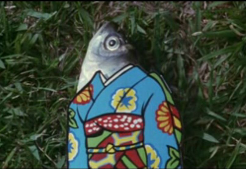 Юлия Ермишкина | 