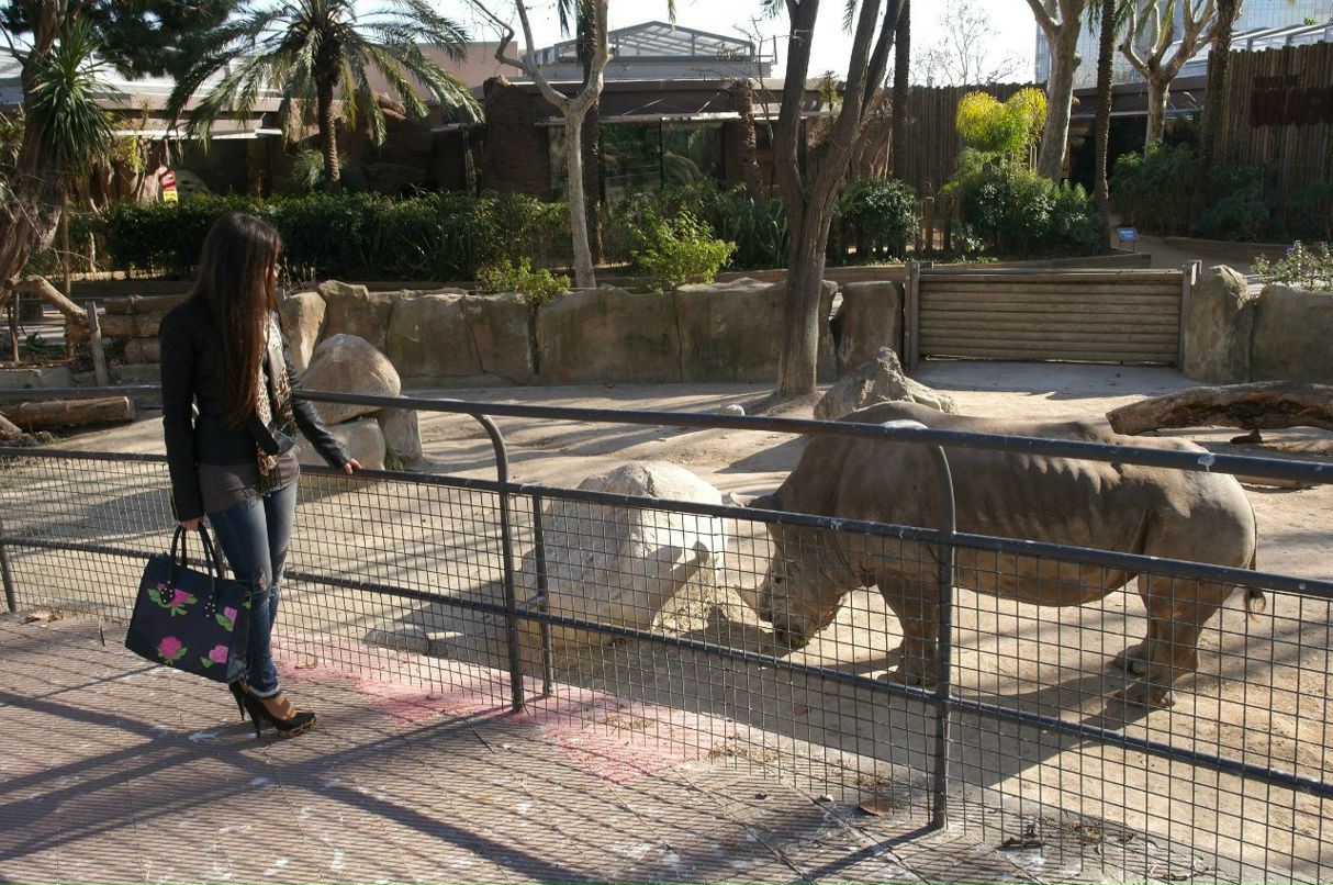 Ekaterina Strelnikova | Рига