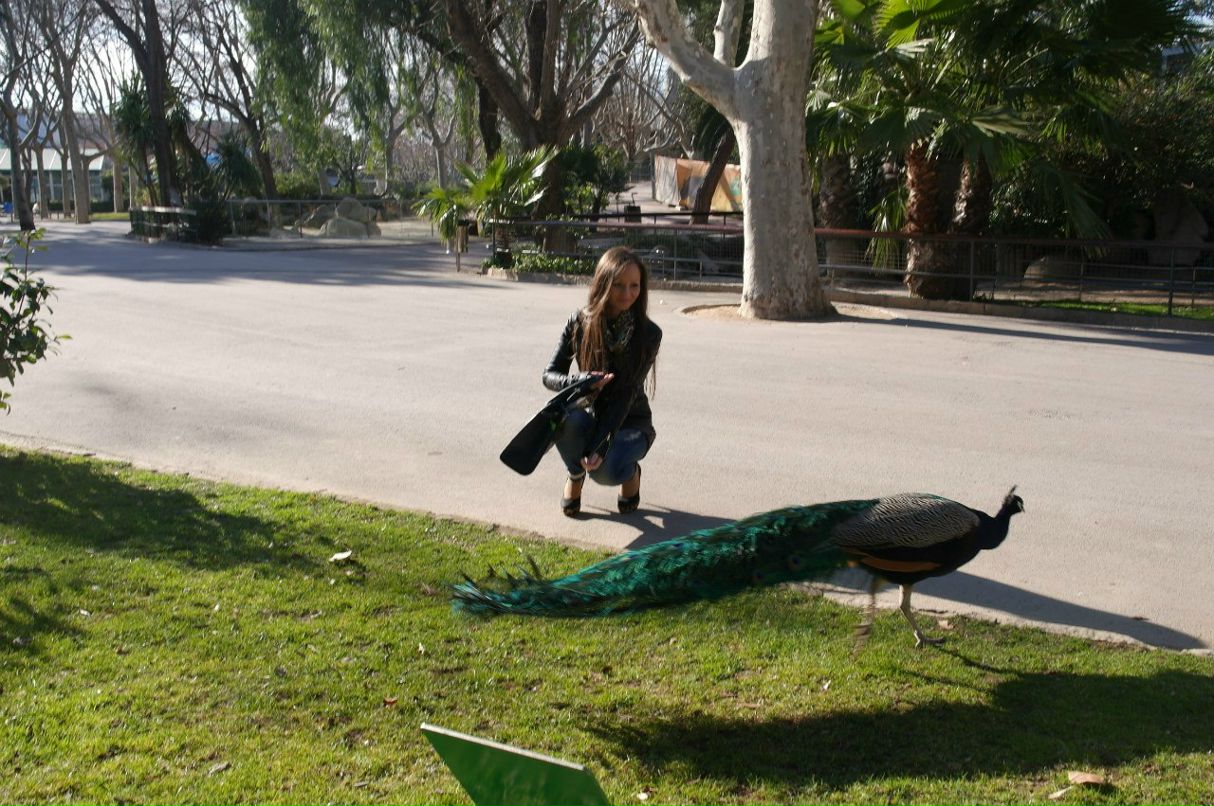 Ekaterina Strelnikova | Рига