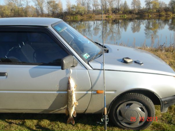 №3, Александр Дорошук, 44 года, Киев №3, Александр Дорошук, 44 года, Киев