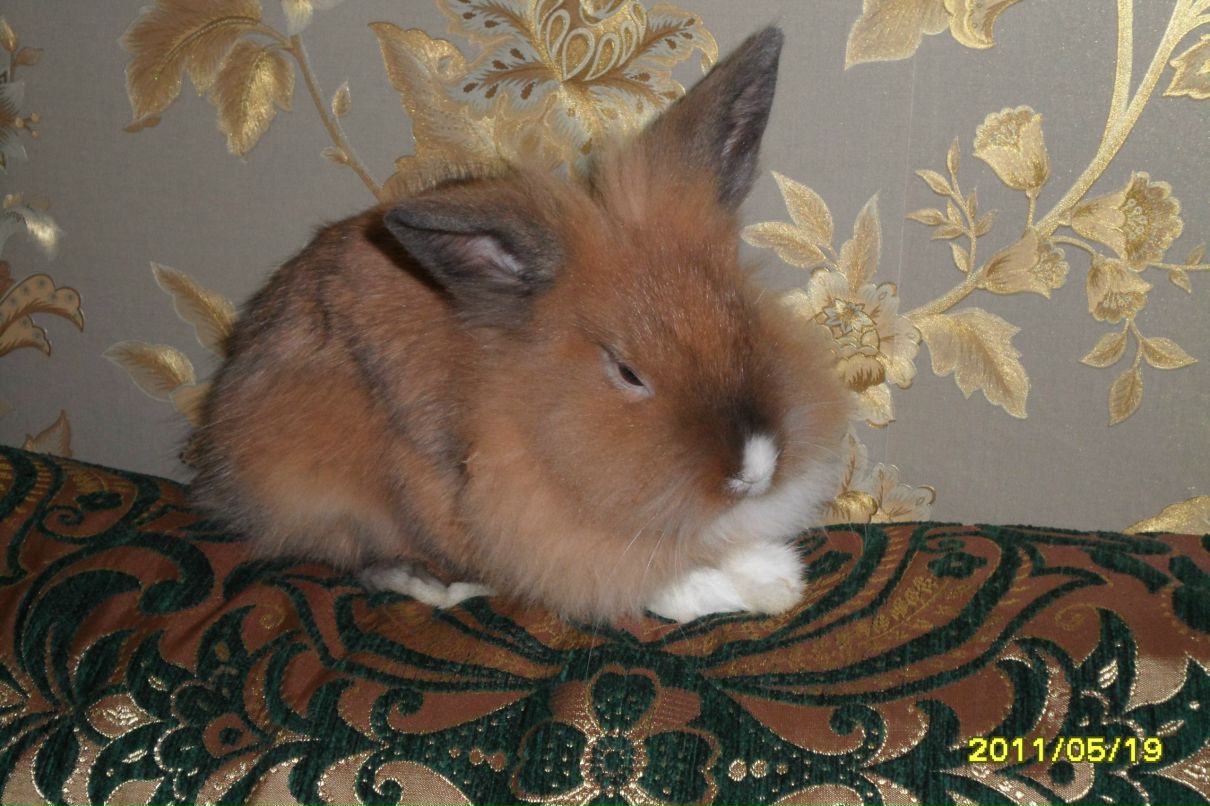 Andrei Bialkevich | Минск