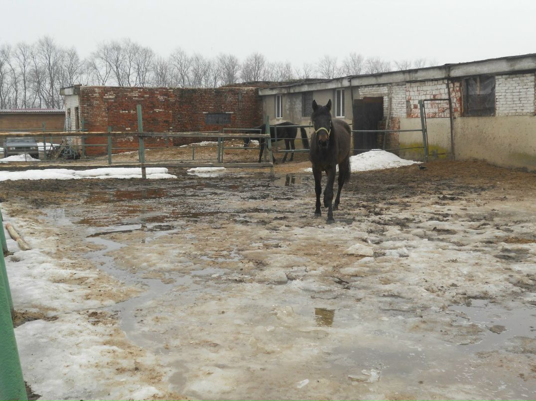 Таисия Медведева | Мытищи