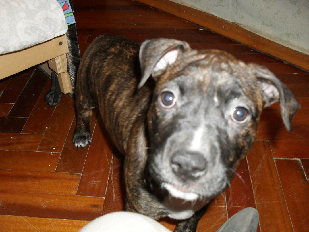 Олег Моисеев | Санкт-Петербург