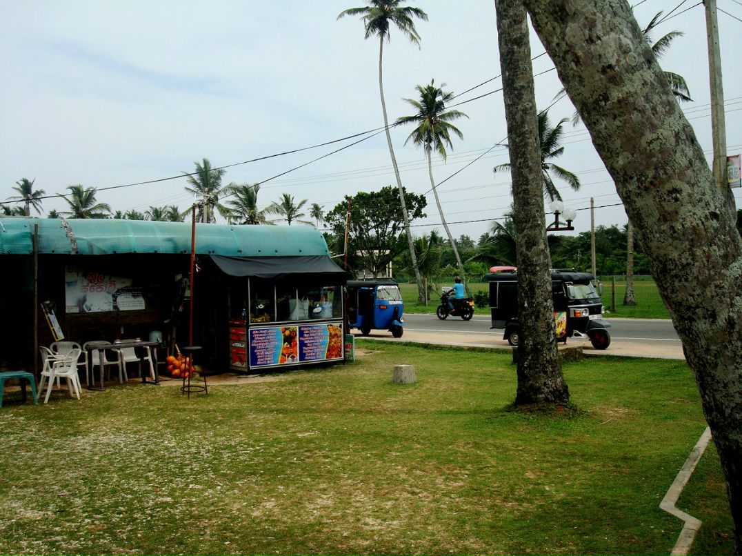 Виктория Матух | Киев