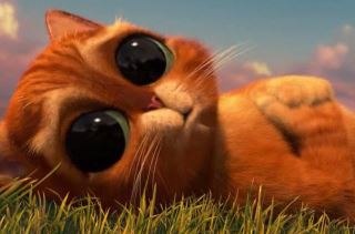 Елена Полянинова | Москва