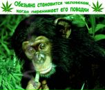 Фотография Ярик Юнусов
