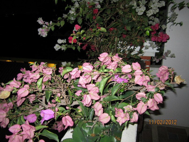 Valentina Stepanova | Санкт-Петербург