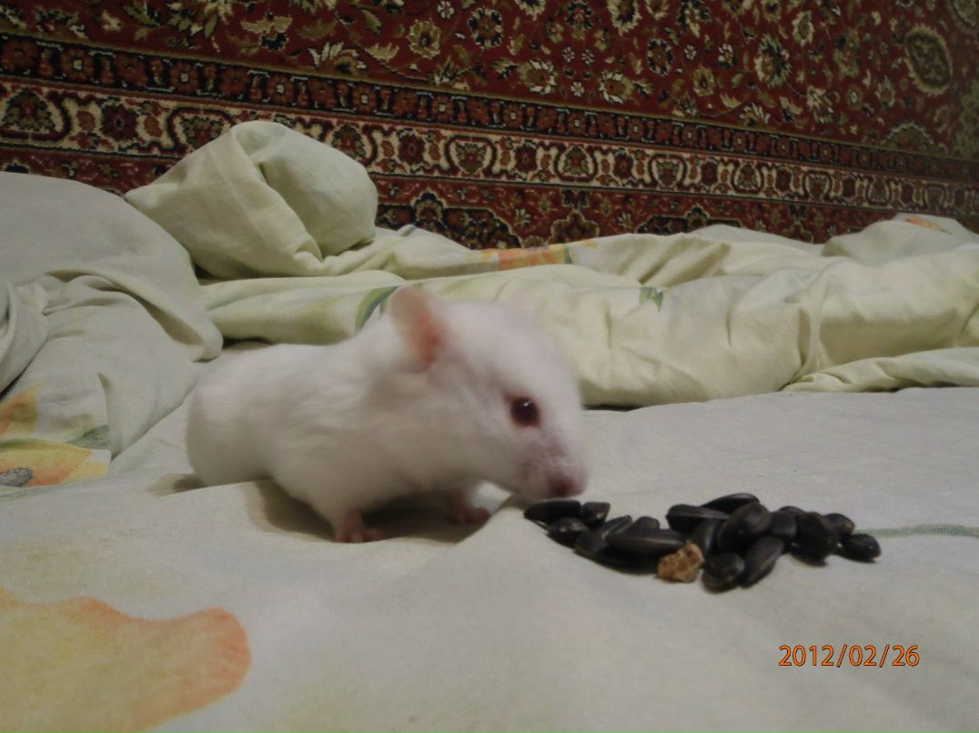 Татьяна Куряткова | Плесецк