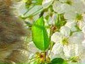 Сергей Антко - и - Светлана | Николаев