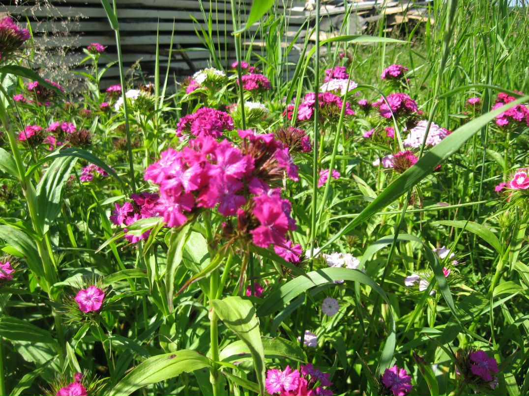 Татьяна Хабутдинова | Пермь