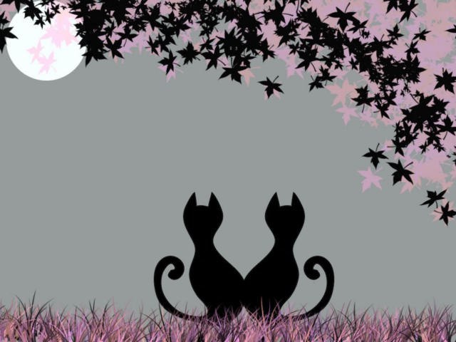 Татьяна Алехнович | Минск