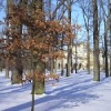Аватар: Инна Шеремет