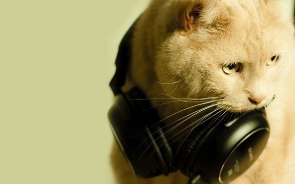 Юлія Котельнікова ジュリア | Одесса