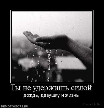 Славик Школьний фото профиля #1