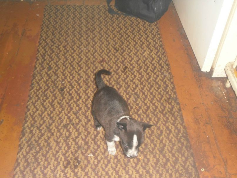 Ольга Ненашева | Новодвинск