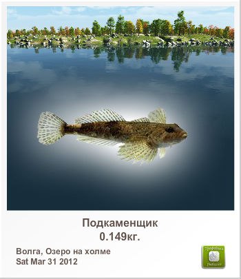 Мадест Полуэктов | Москва