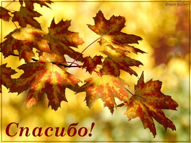 Гузель Казанцева | 