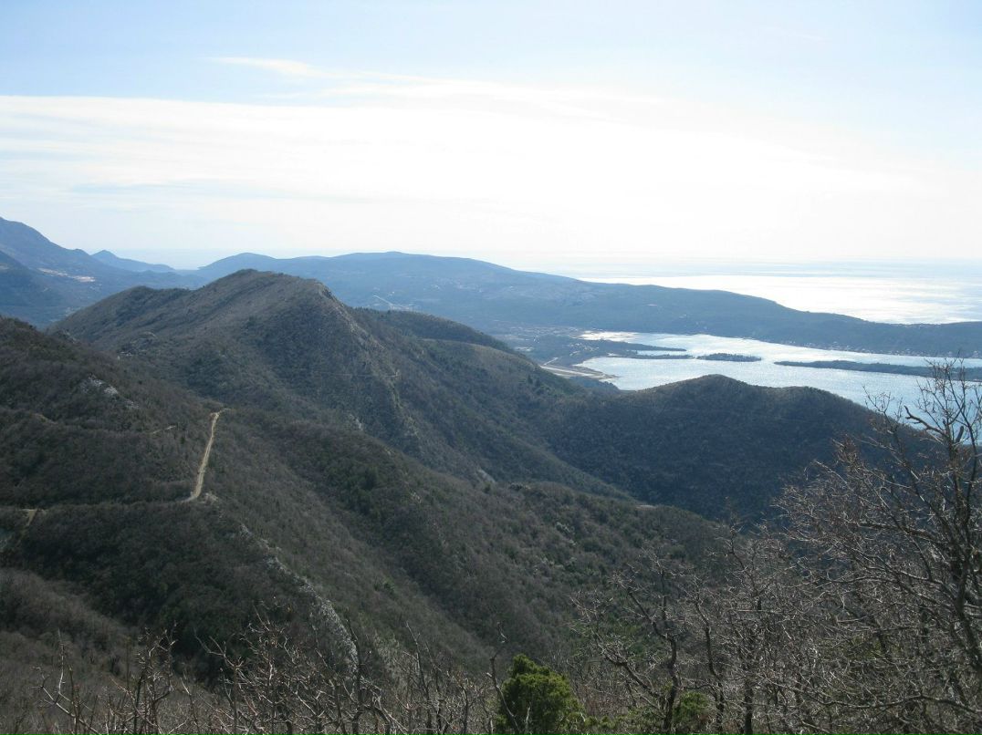 Олег Данилюк | Санкт-Петербург