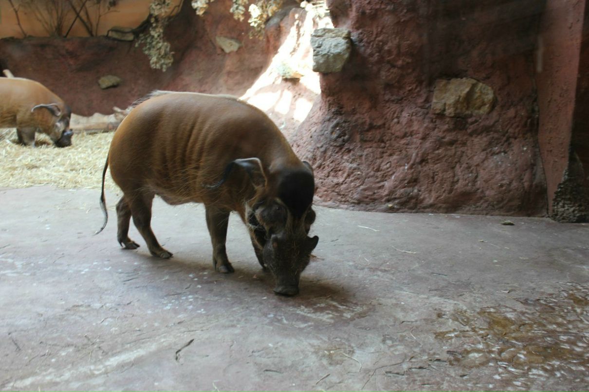 Кирилл Смирнов | Санкт-Петербург