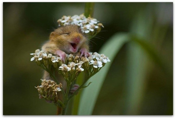 Юлия Белова | Самара