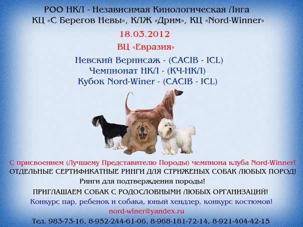 №53, Кинологическая Лига-Нкл, Санкт-Петербург №53, Кинологическая Лига-Нкл, Санкт-Петербург
