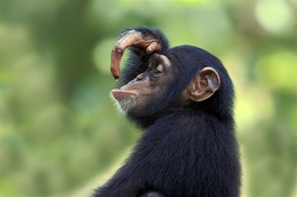 Елена Умнова | Харьков