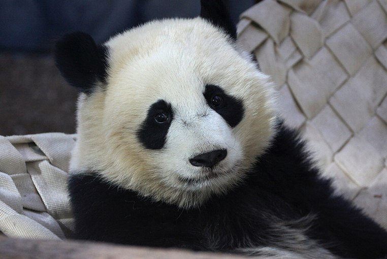 Ксюша Миненкова | Харьков