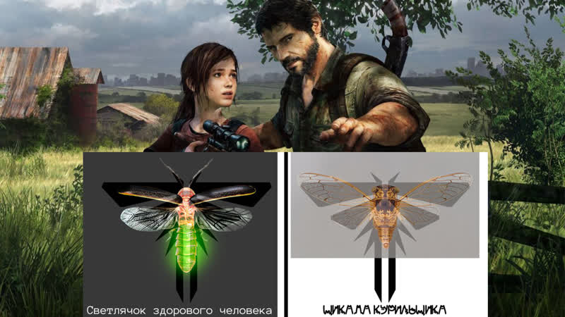 Почему в дубляже The Last Of Us от RHS Светлячки, а не