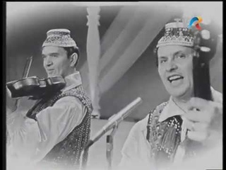 Frații Petreuș