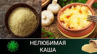 Просо - забытый злак | Пшёнка - нелюбимая каша | Просо исчезает с полей
