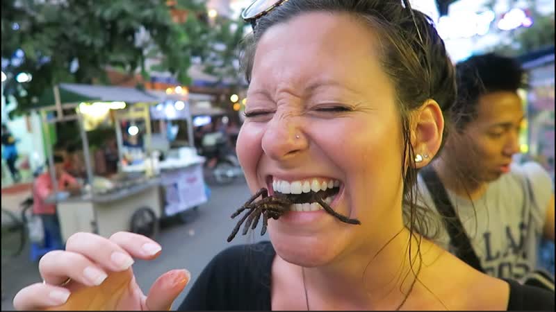 EATING BUGS in