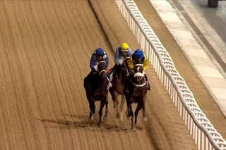 DWCC Meydan Racecourse 03-03-16, Race 3 UAE Oaks Sponsored by Emirates Airline