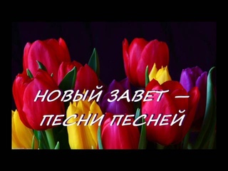 НОВЫЙ ЗАВЕТ — ПЕСНИ ПЕСНЕЙ