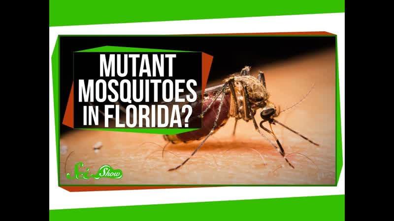 Mutant Mosquitoes in